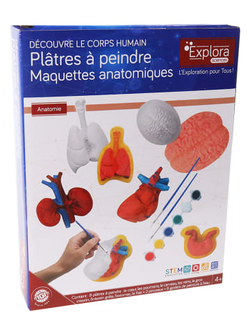 Explora Zestaw do malowania - 4+
