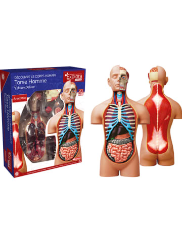 MGM Bouwset "Menselijk lichaam" - vanaf 8 jaar