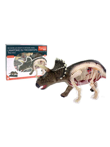 MGM Zestaw konstrukcyjny "Tricératops" - 8+