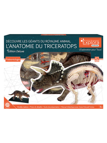 MGM Zestaw konstrukcyjny "Tricératops" - 8+