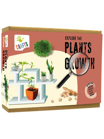 Andreu Toys Zestaw eksperymentalny  "Explore the Plants Growth" - 8+