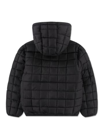 Converse Steppjacke in Schwarz