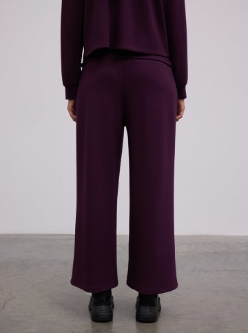 BGN Hose in Lila