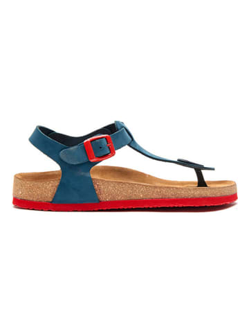 Comfortfusse Leder-Zehensandalen in Blau/ Rot