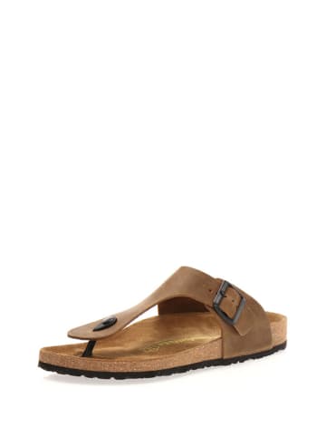 Comfortfusse Leder-Zehentrenner in Sand