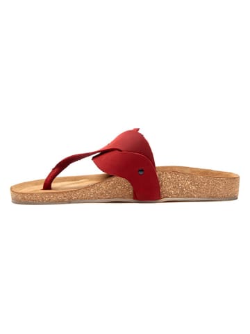 Comfortfusse Leren teenslippers rood
