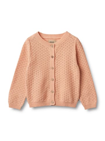 Wheat Cardigan "Magnella" in Apricot