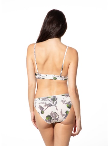 SHORT STORIES Figi w kolorze biało-zielonym