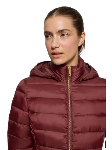 Polo Club Kurtka pikowana w kolorze bordowym