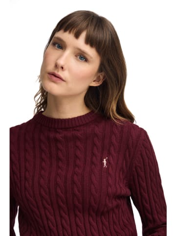 Polo Club Pullover in Bordeaux