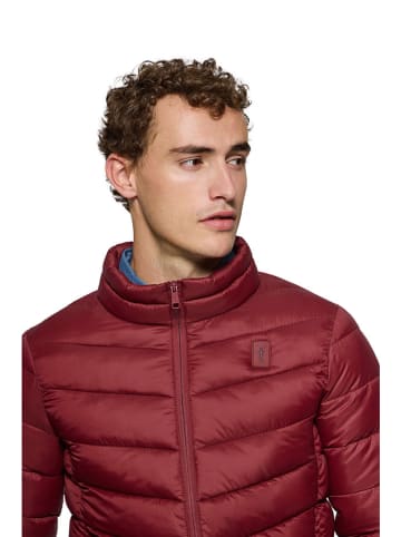 Polo Club Steppjacke in Bordeaux