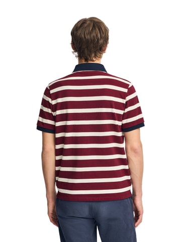 Polo Club Poloshirt bordeaux/crème