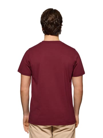 Polo Club Shirt in Bordeaux