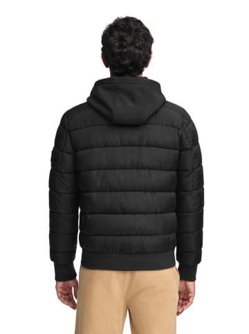 Polo Club Steppjacke in Schwarz