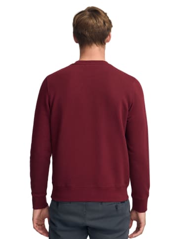 Polo Club Sweatshirt in Bordeaux