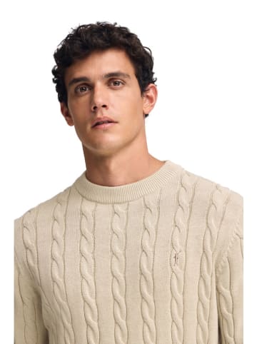 Polo Club Pullover in Beige