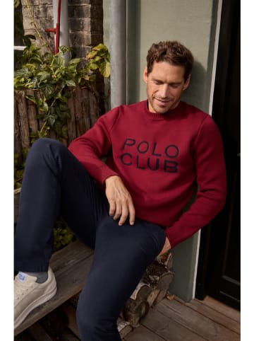 Polo Club Pullover in Bordeaux