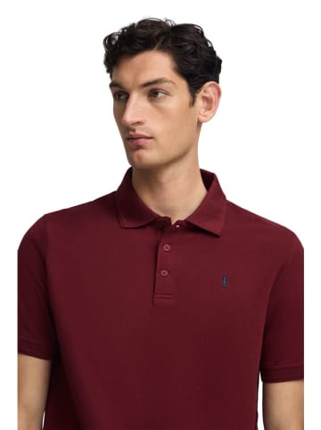 Polo Club Poloshirt in Bordeaux