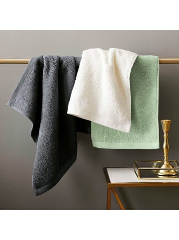 CXL by Christian Lacroix 2er-Set: Geschirrtücher in Grün