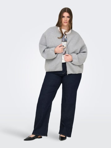 ONLY Carmakoma Blouson grijs