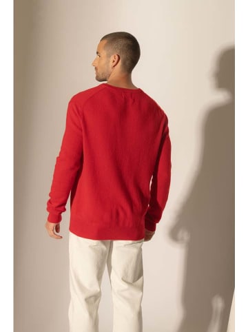 Perfect Cashmere Kasjmieren trui "Alexander" rood