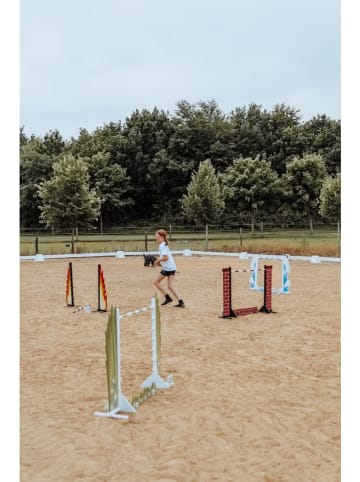 ASTRUP Stokpaardhindernis - vanaf 3 jaar