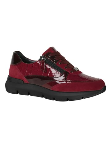 HASSIA Leren sneakers "Bordeaux" rood