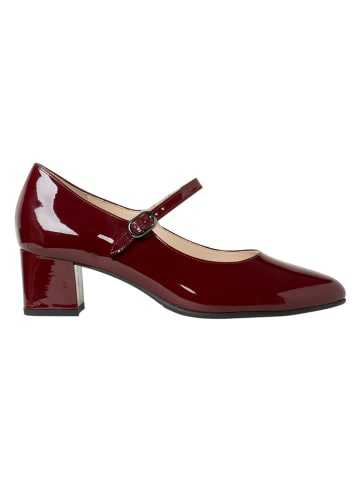 HASSIA Leren pumps "Hassia" bordeaux