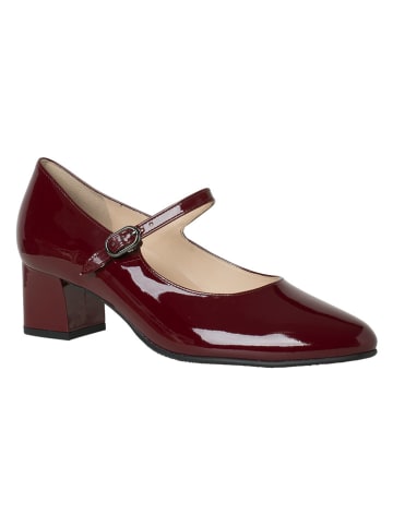 HASSIA Skórzane czółenka "Hassia" w kolorze bordowym