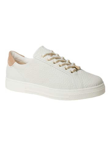 HASSIA Leren sneakers "Bari" wit