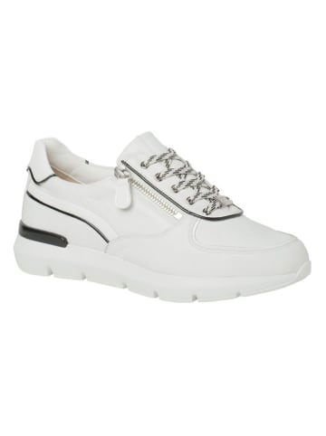 HASSIA Leren sneakers "Bordeaux" wit