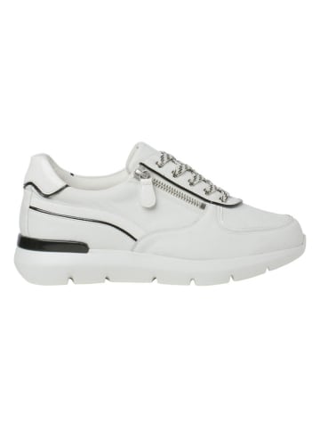 HASSIA Leren sneakers "Bordeaux" wit