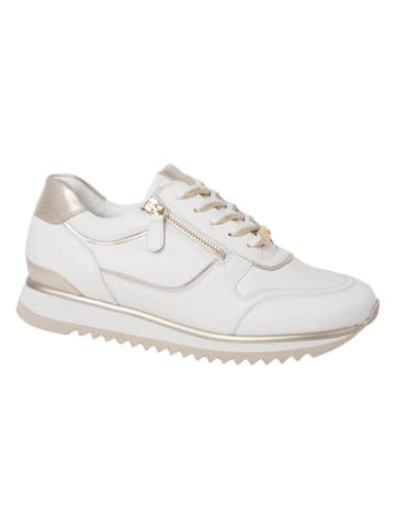 HASSIA Leren sneakers "Porto" wit/goudkleurig