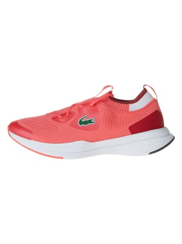 Lacoste Sneakers in Pink