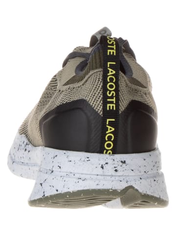 Lacoste Sneakers in Khaki/ Schwarz