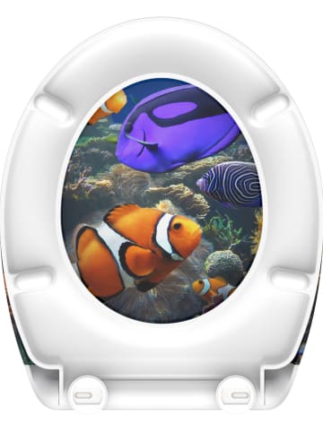 Schütte Wolnoopadająca deska WC "Sea life" ze wzorem