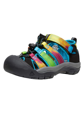 Keen Enkelsandalen meerkleurig