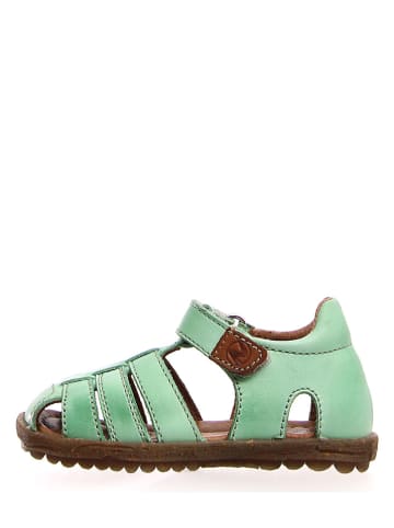 Naturino Leren enkelsandalen groen