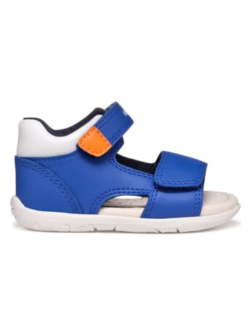 Geox Sandalen "Tapuz" in Blau