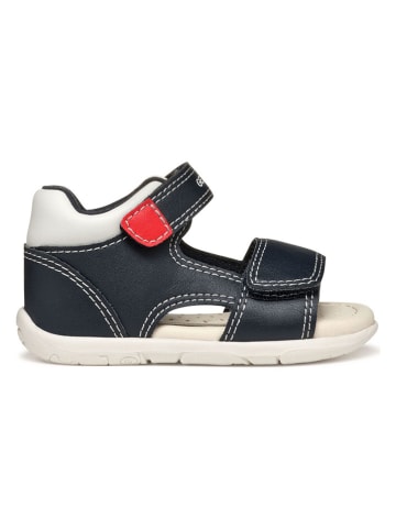 Geox Sandalen "Tapuz" in Dunkelblau