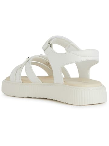 Geox Sandalen "Kodette" in Weiß