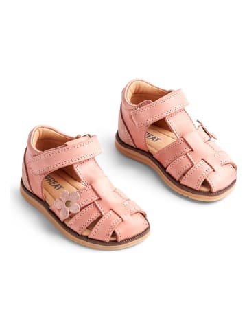 Wheat Leren enkelsandalen "Sky Flower" roze