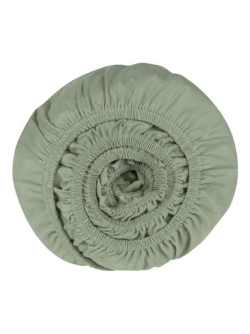 Schiesser Jersey-Spannbettlaken in Grün