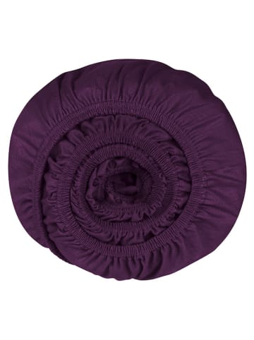 Schiesser Prześcieradło "Flexi" w kolorze fioletowym na gumce