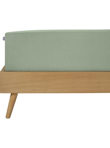 Schiesser Spannbettlaken "Elli" in Grün