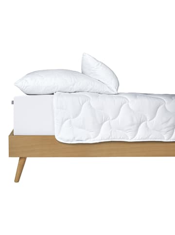 Schiesser Faserkissen in Weiß