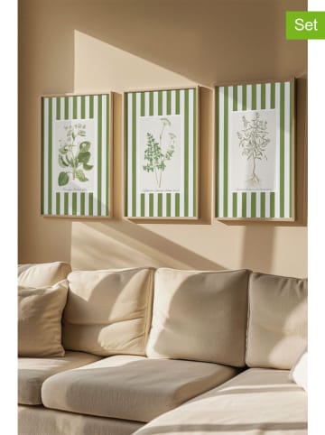 ABERTO DESIGN 3er-Set: Gerahmte Kunstdrucke - (B)50 x (H)70 cm