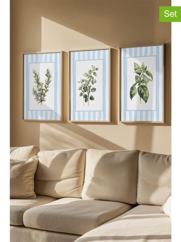 ABERTO DESIGN 3er-Set: Gerahmte Kunstdrucke - (B)50 x (H)70 cm
