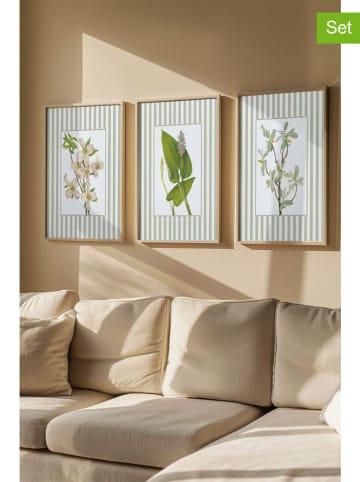 ABERTO DESIGN Druki artystyczne (3 szt.) w ramce - 50 x 70 cm