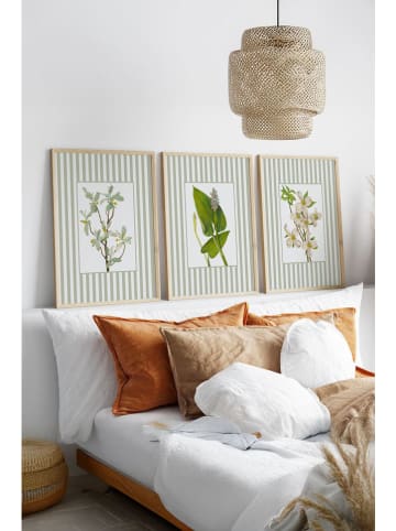 ABERTO DESIGN 3-delige set: ingelijste kunstdrukken - (B)50 x (H)70 cm